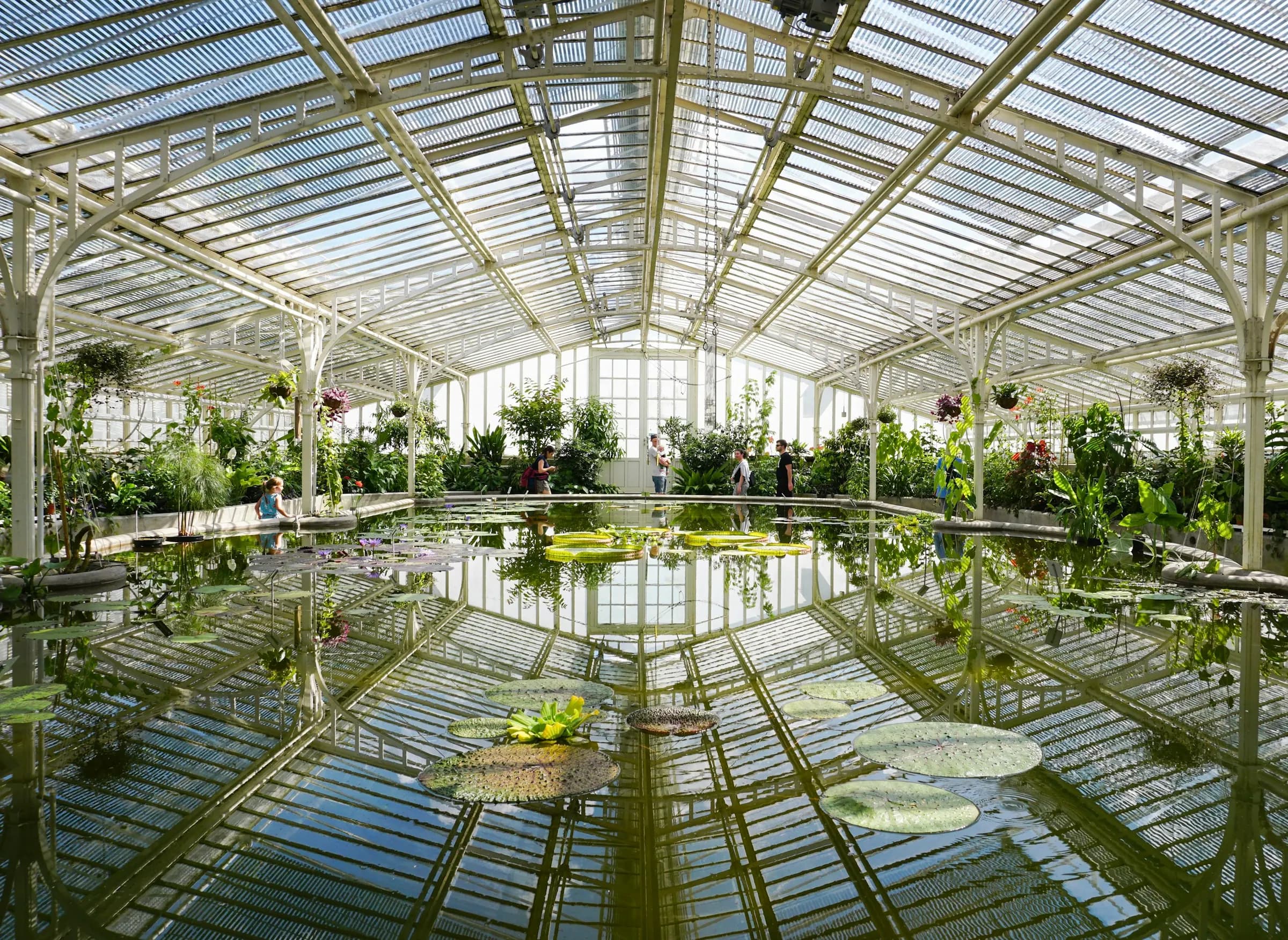 Tall steel-framed windows looking onto a clipped formal garden