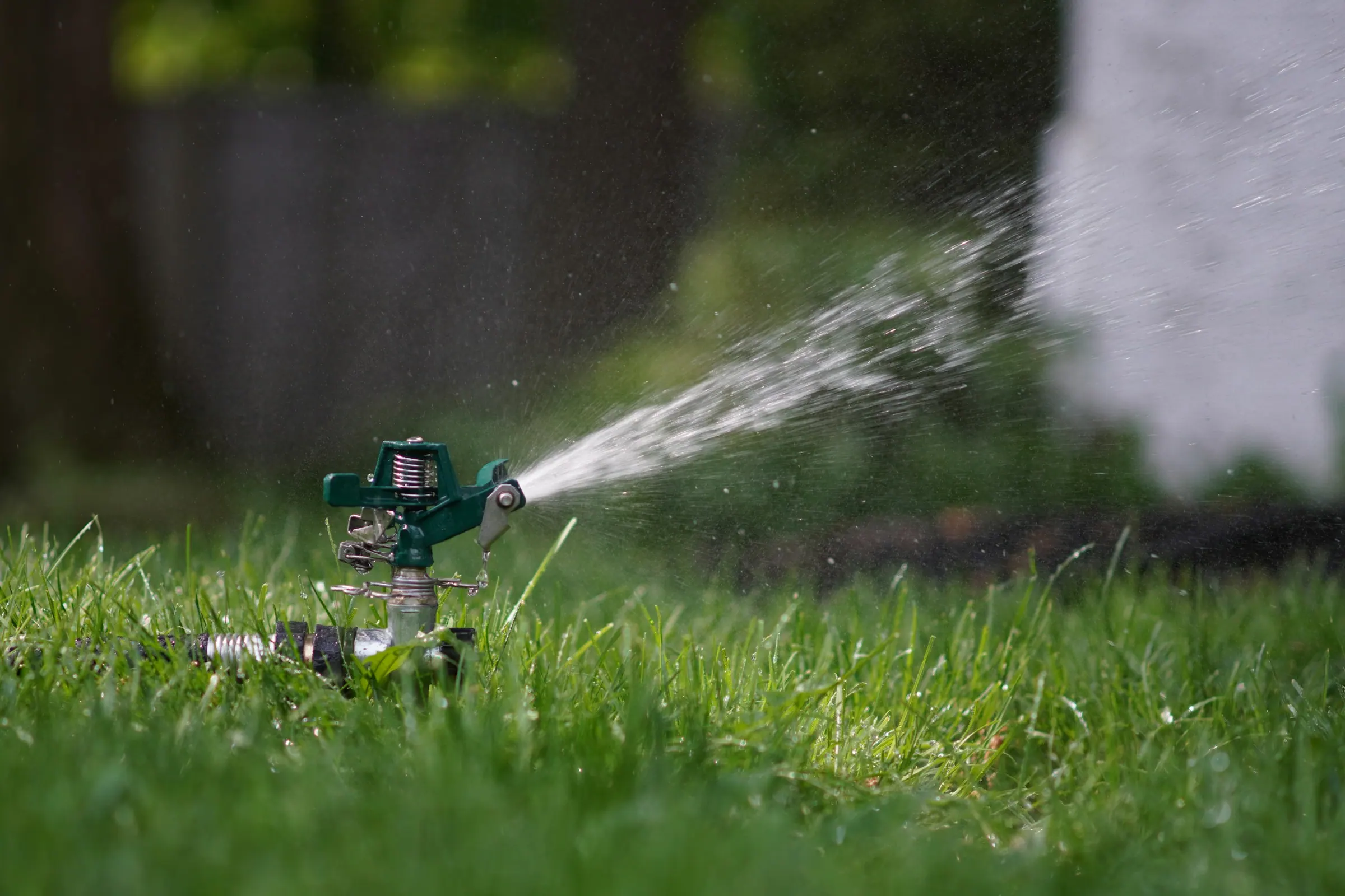 Sprinklers running over a formal garden at golden hour