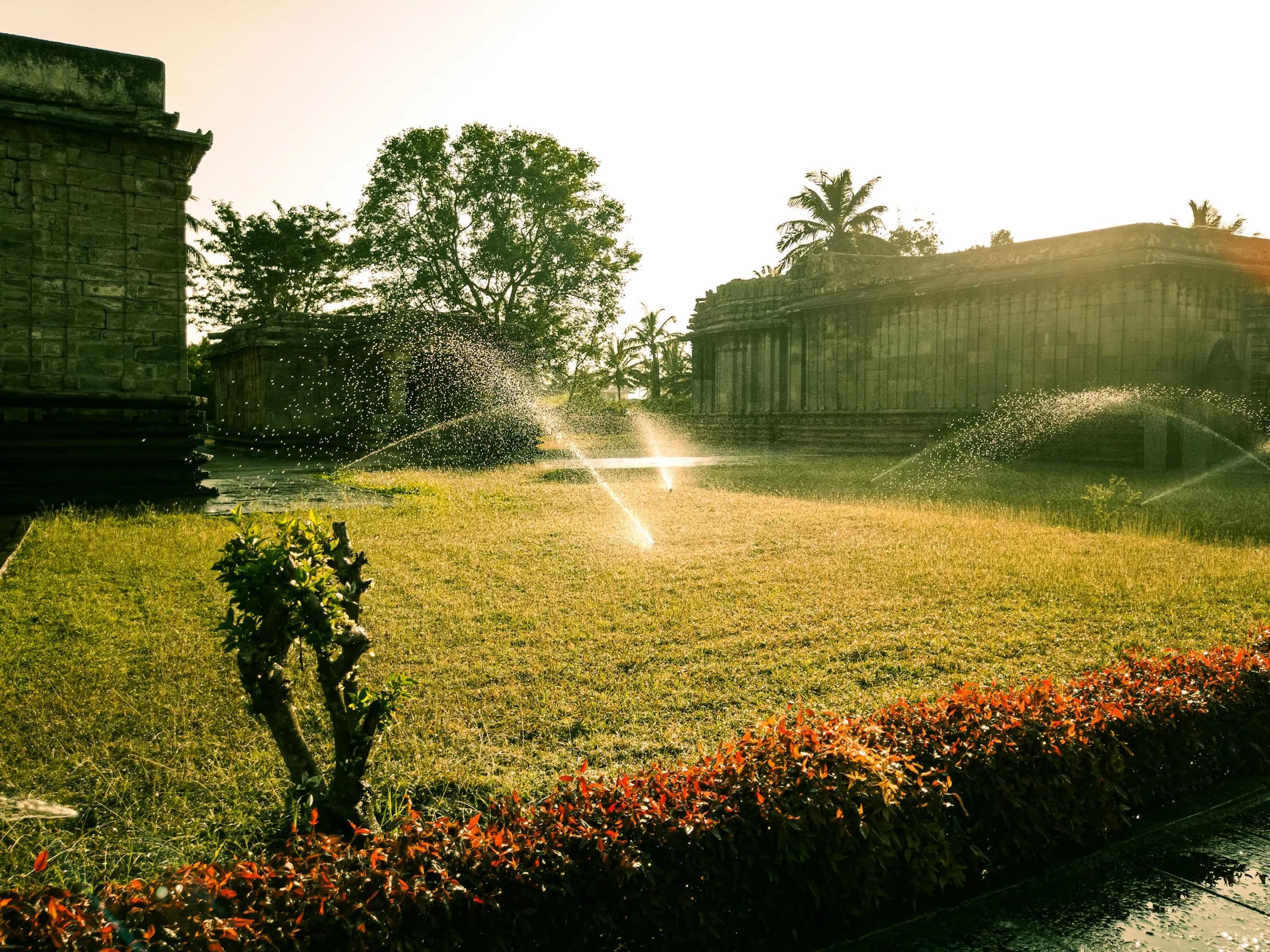 A rotor head watering a lawn in low sun